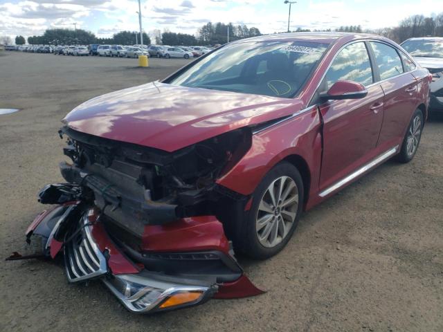 5NPE34AF5FH037628 Hyundai Sonata Spo 2015. Фото: 1