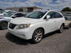 2010 LEXUS  RX350