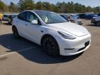 2020 TESLA  MODEL Y