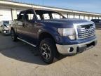 2010 FORD  F-150