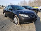 2007 TOYOTA  CAMRY