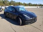 2021 TESLA  MODEL Y