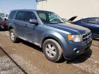 2010 FORD  ESCAPE