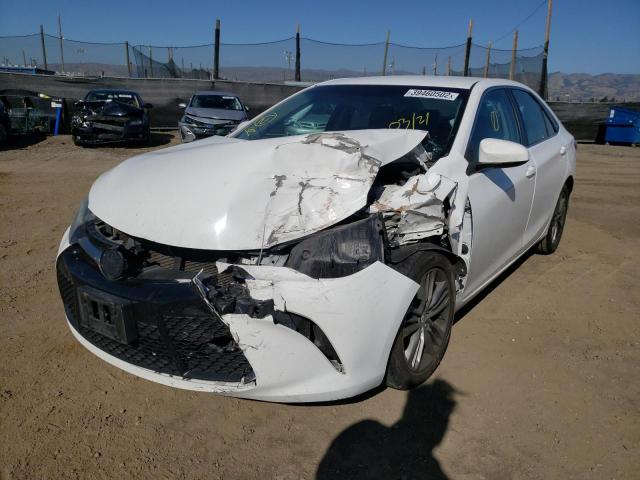 4T1BF1FK0GU500728 Toyota Camry Le 2016. Фото: 1