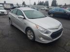 2013 HYUNDAI  SONATA