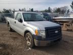 2009 FORD  F150