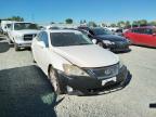 2006 LEXUS  IS