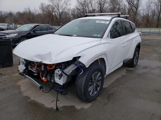 2022 HYUNDAI TUCSON BLU KM8JBCA12NU025355