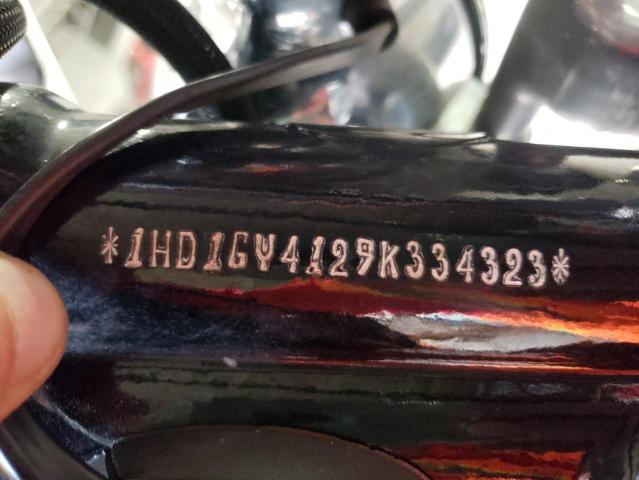 2009 HARLEY-DAVIDSON FXDF 1HD1GY4129K334323