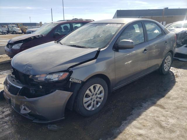 Фото: KNAFT4A26B5409535 - 2