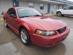 2000 FORD  MUSTANG