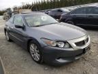 2009 HONDA  ACCORD