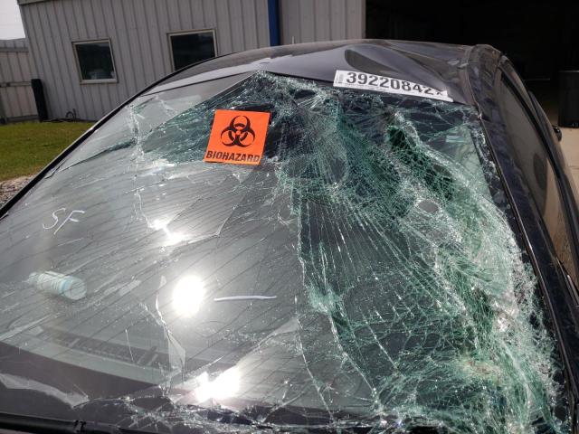2T1BURHE4JC064986 Toyota Corolla L 2018. Фото: 8