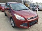 2014 FORD  ESCAPE