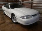 1996 FORD  MUSTANG