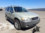 2005 FORD  ESCAPE