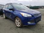 2013 FORD  ESCAPE