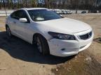 2010 HONDA  ACCORD