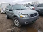 2007 FORD  ESCAPE