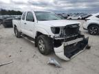 2010 TOYOTA  TACOMA