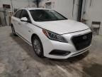 2016 HYUNDAI  SONATA