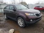 2011 KIA  SORENTO