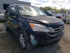 2010 HONDA  CRV