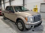 2011 FORD  F-150