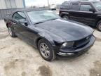 2005 FORD  MUSTANG