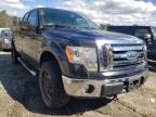 2009 FORD  F-150