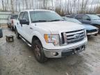 2010 FORD  F150