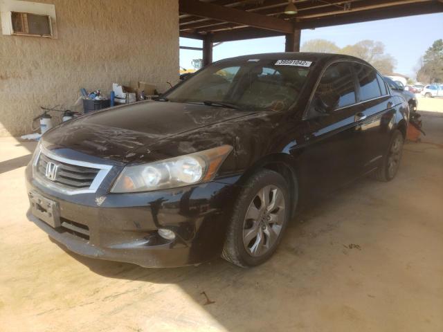 1HGCP36819A049529 Honda Accord Exl 2009. Фото: 1