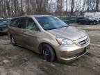 HONDA ODYSSEY 2006 foto