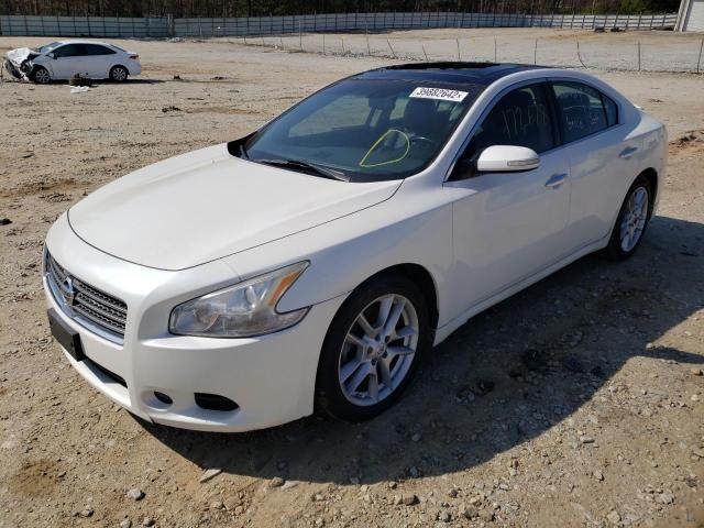 1N4AA5AP0BC816417 Nissan Maxima S 2011. Фото: 1