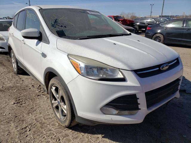 1FMCU9GX6DUA24760 Ford Escape Se 2013