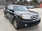 2010 HONDA  PILOT