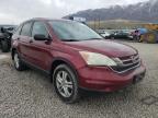 2010 HONDA  CRV