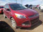 2014 FORD  ESCAPE