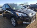 2013 FORD  ESCAPE