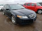 2004 ACURA  TL