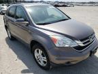 2010 HONDA  CRV