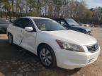 2010 HONDA  ACCORD