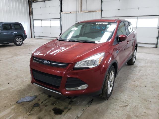 2015 FORD ESCAPE SE 1FMCU9GX2FUA40764