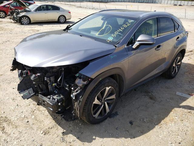 2019 LEXUS NX 300 BAS JTJYARBZ1K2129434