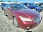 2007 LEXUS  ES350