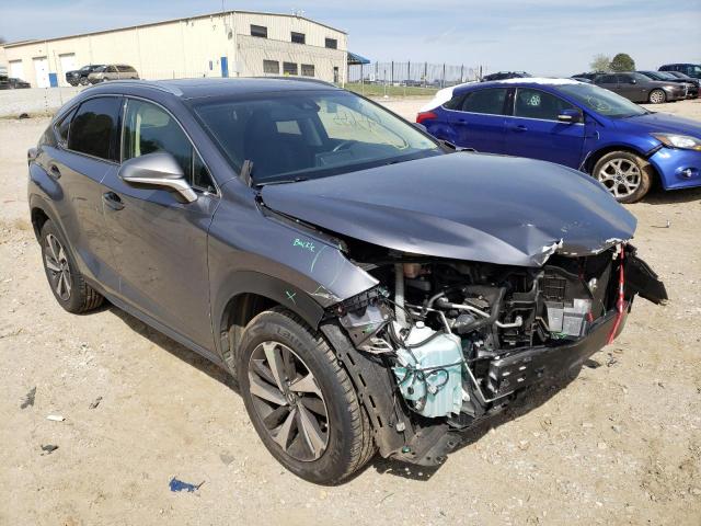 2019 LEXUS NX 300 BAS JTJYARBZ1K2129434