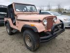 1980 AMERICAN MOTORS  JEEP