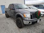 2011 FORD  F-150