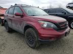 2010 HONDA  CRV