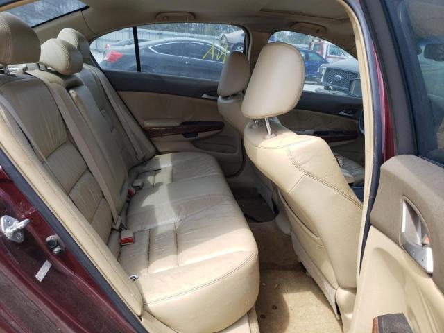 1HGCP36808A036348 Honda Accord Exl 2008. Фото: 5